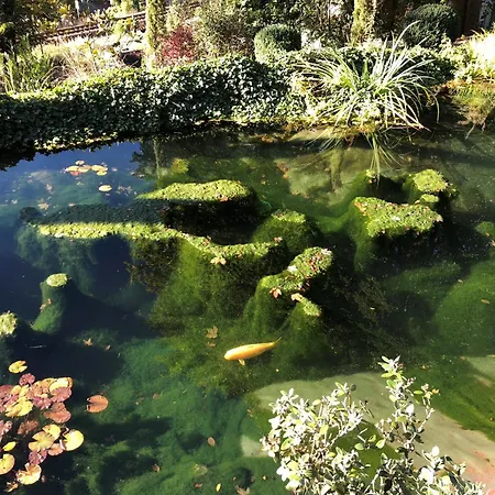 Monsieur Claude - Wohnen In Einer Historischen Suhl